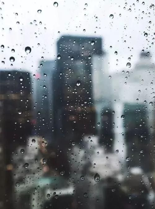 下雨天拍摄怎么保护相机,下雨相机怎么防水图1