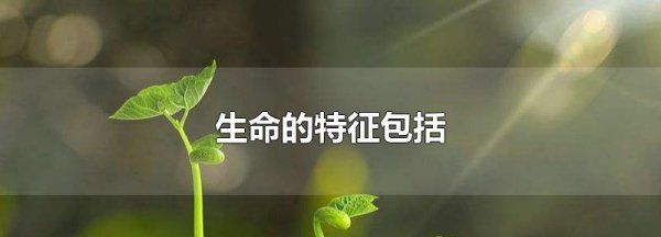 生命特征包括什么四个，生命的特征包括超越性吗图3