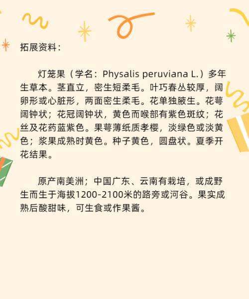 姑娘果又叫什么名字，有一种水果叫什么姑娘图3