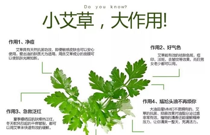 新生儿可以闻艾草点着的烟,婴儿房间可以熏艾条