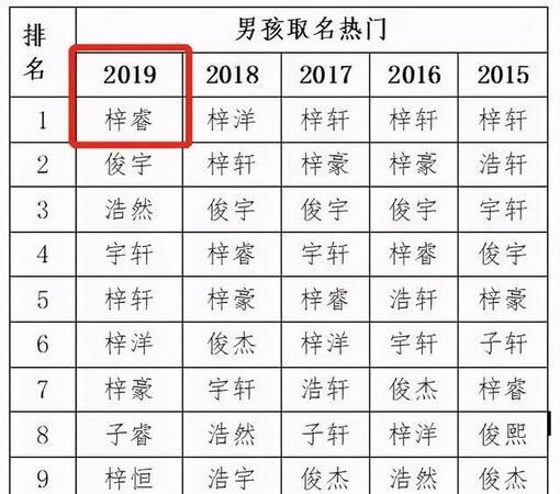 2020新生儿取名字,新生儿取名女孩名字大全图5