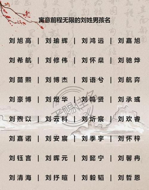 2020新生儿取名字,新生儿取名女孩名字大全图6