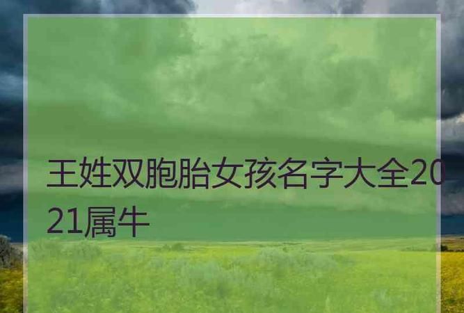 双胞胎女孩取名字大全202,00个好听双胞胎女孩名字图4