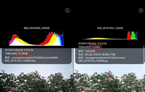 raw是什么格式，raw格式是什么意思图2