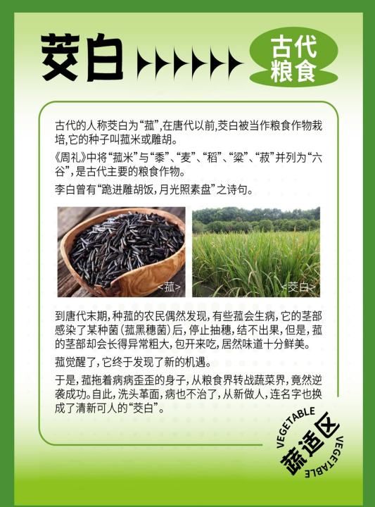 茭白的壳是什么垃圾,茭白如何处理教程图4