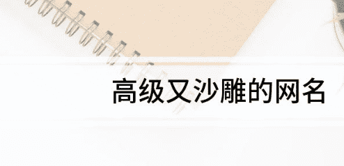 沙雕网名大全600个,高端又不失沙雕的网名英文图1