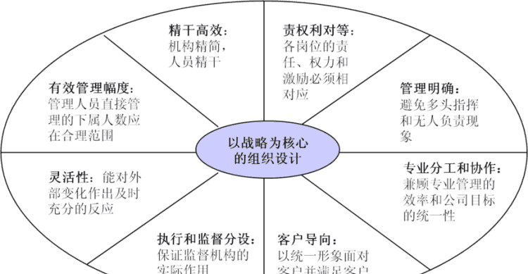 组织管理原则有哪些,幼儿园一日生活组织遵循的六大原则是什么图3