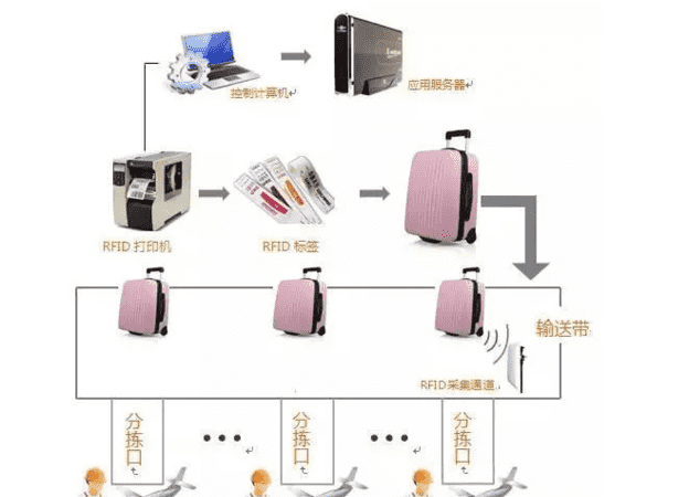 怎么样取托运的行李,飞机托运宠物价格表2023图1