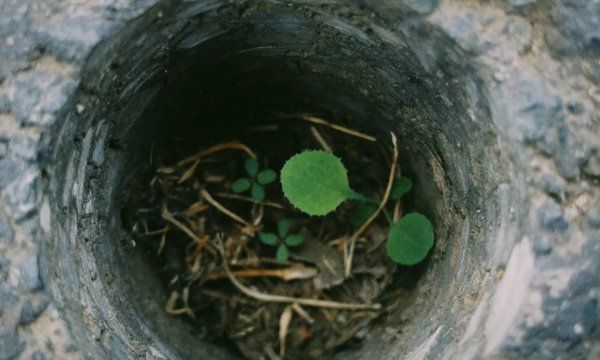 如何拍摄高清照片,怎样拍出来的照片好看图18