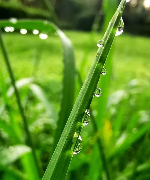 手机如何拍摄雨滴照片,拍雨滴手机参数华为