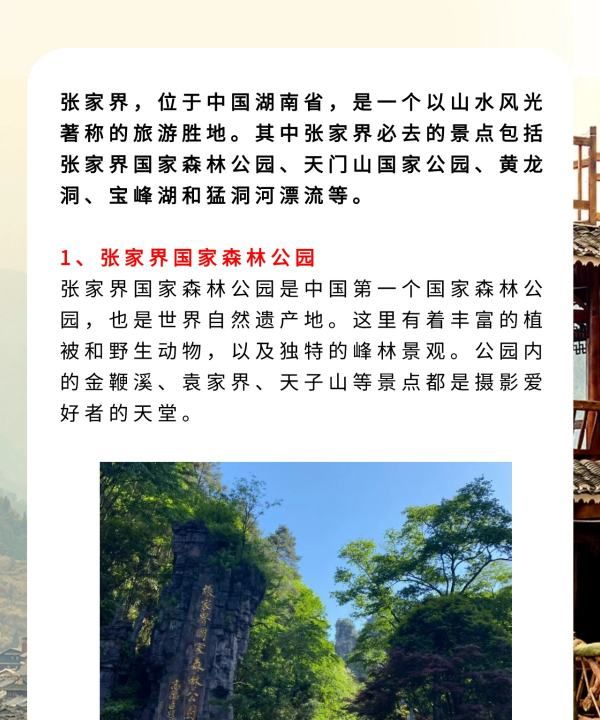 张家界旅游攻略,假期旅游图10