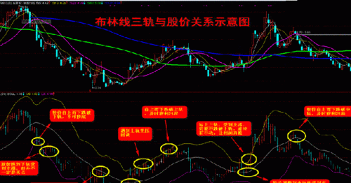 影响股票价格的因素,影响股票价格的政治因素一般包括图2