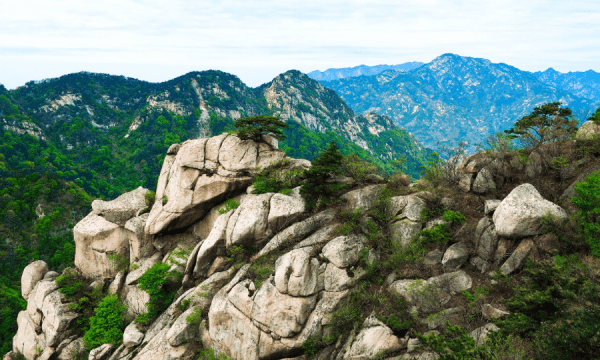 山东省临沂市旅游景点有哪些,临沂旅游景点大全排名图13