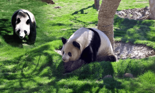 山东省临沂市旅游景点有哪些,临沂旅游景点大全排名图15