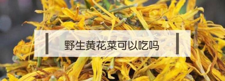 小黄花不能和什么一起吃,黄花菜不能和什么一起吃图4