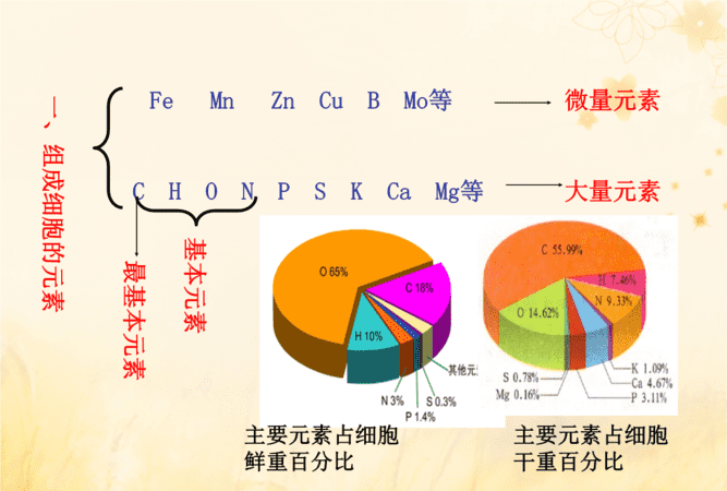 生物细胞里含量最多的元素是什么,细胞中含量最多元素是图2