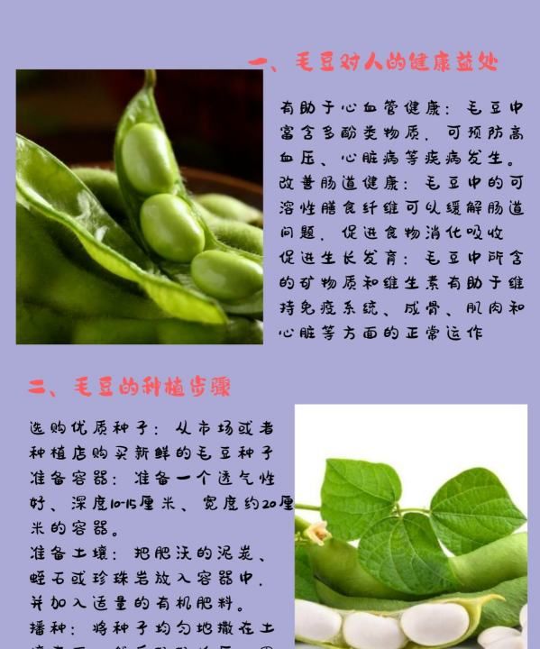 毛豆种子怎么种,毛豆的种植方法和时间图2