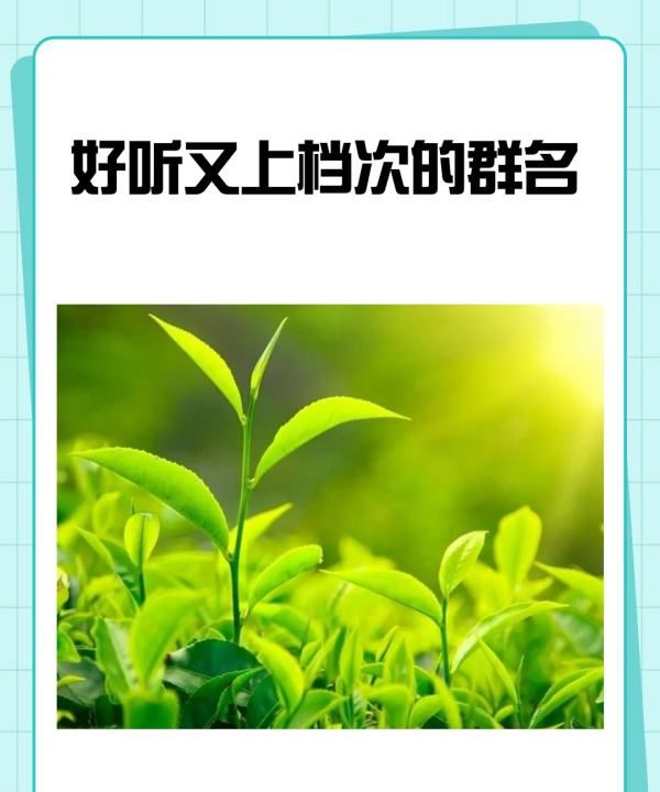 比较好听的群名字大全,好朋友有创意的微信群聊名称图2