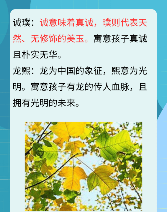 男孩子的名字大全,独一无二的男孩名字图4