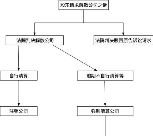 股东申请解散公司有前置程序,股东申请解散公司有前置程序图8