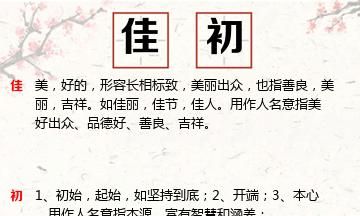 木字旁的女孩名字大全,木字旁寓意好的字女孩名字大全四个字图4