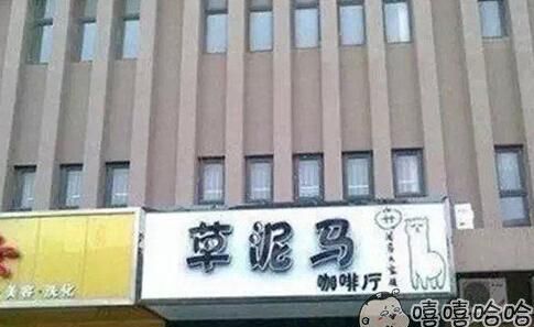 有趣的店名有哪些,有趣店名图1