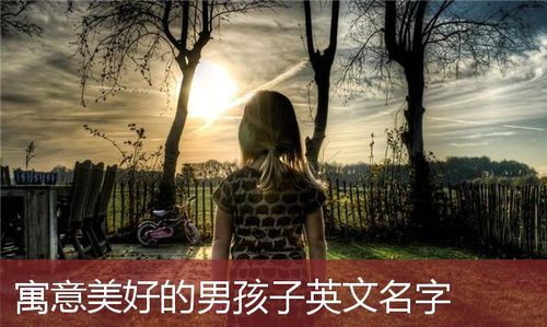 小男孩的英文名字大全洋气,小学生英文名男孩子怎么取好听图2