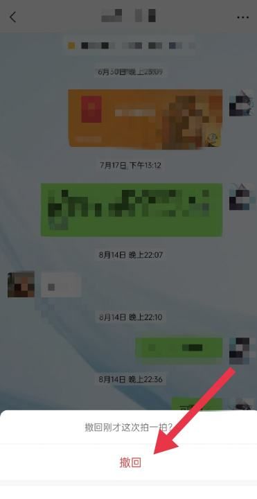 微信拍一拍错了怎么道歉，微信拍一拍撤不回了怎么办图3