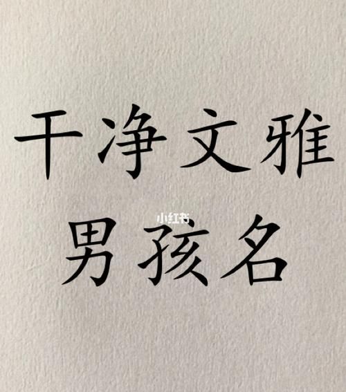 比较文雅的男宝宝名字,好听的男孩子名字及寓意霸气图4