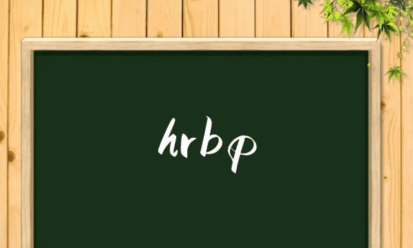 hrbp全称是什么意思,hrbp是什么意思图1