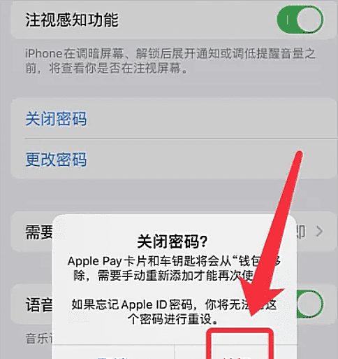 苹果手机怎么取消密码开屏,苹果手机取消锁屏密码怎么操作图7