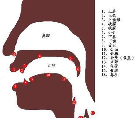 怎么发音不伤嗓子,怎么科学发声训练方法缓解声带