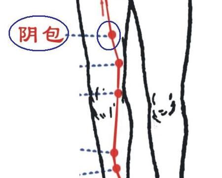 阴包穴的位置和功效,下身部位可以刮痧