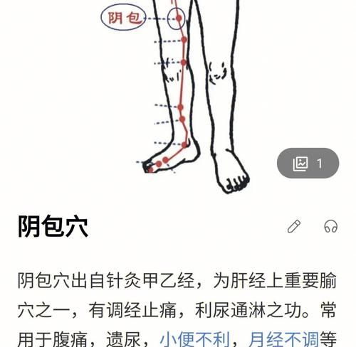 阴包穴的位置和功效,下身部位可以刮痧图4