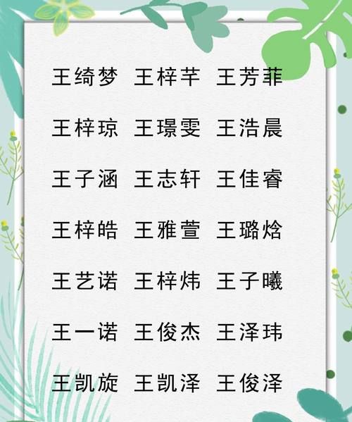 姓王的男孩名字两个字,姓王的男孩取什么名字好二字图4