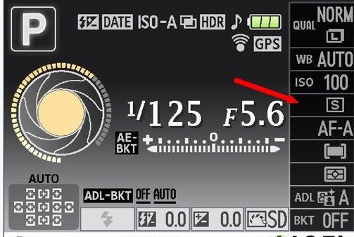 d500怎么连拍，尼康z8一秒连拍多少张图4