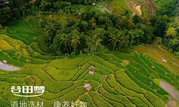 山药的功效与作用，山药功效 山药有哪些功效图4