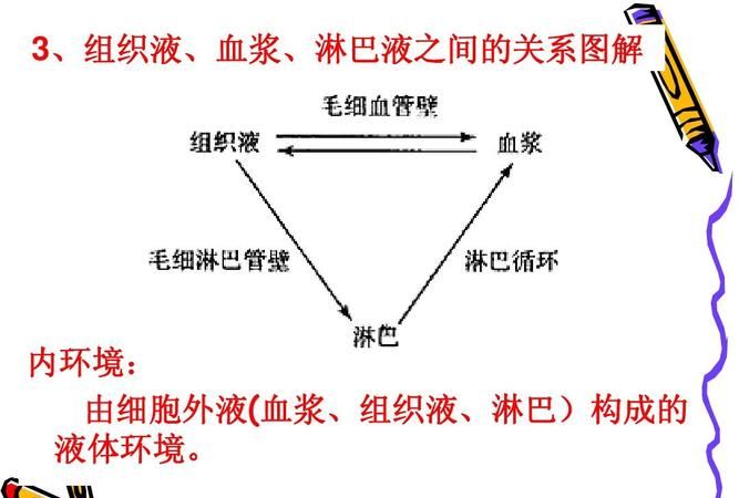 外环境由什么组成,外部环境主要由一般环境与什么构成