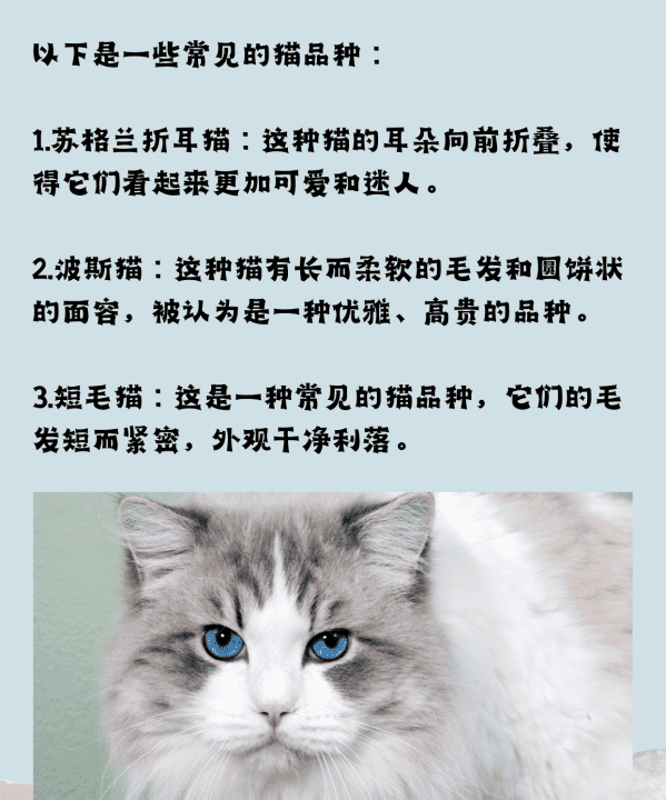 宠物猫的品种大全,黑色的宠物猫有哪几种图10