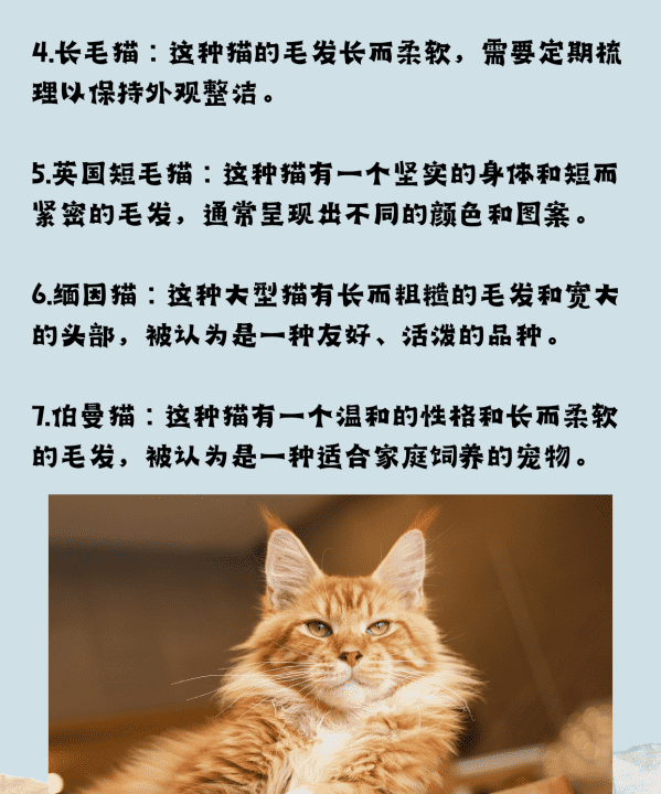 宠物猫的品种大全,黑色的宠物猫有哪几种图11