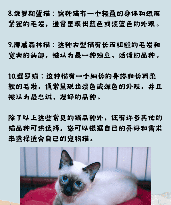 宠物猫的品种大全,黑色的宠物猫有哪几种图12