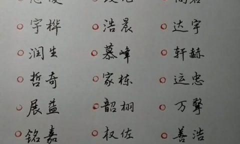 双胞胎起名字大全202龙凤胎,双胞胎的名字怎么起图3