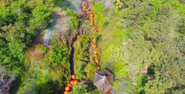 山东省临沂市旅游景点有哪些,临沂必去的免费十大景区有哪些图18