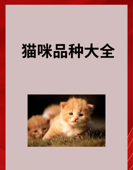 猫的所有品种大全,猫咪品种大全