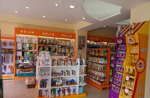 新手怎么开宠物店,新手小白怎么开宠物店如何做宣传活动