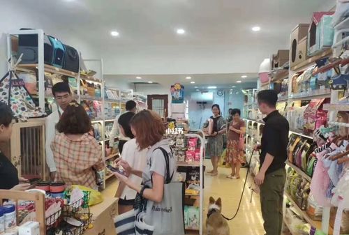 新手怎么开宠物店,新手小白怎么开宠物店如何做宣传活动图2