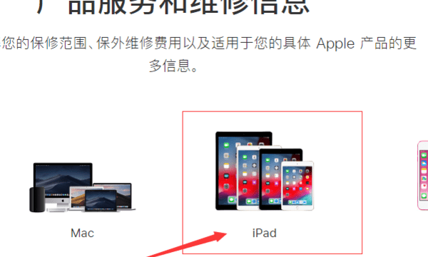 苹果平板ipad 怎么验证真假鉴别图3