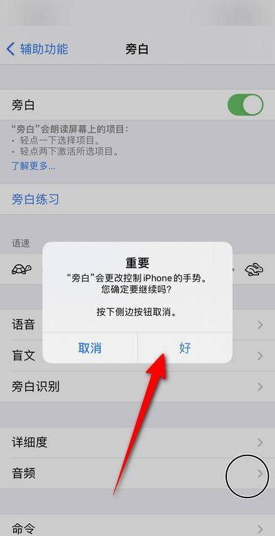 苹果手机iphone 旁白有什么用,苹果手机旁白是什么意思图4