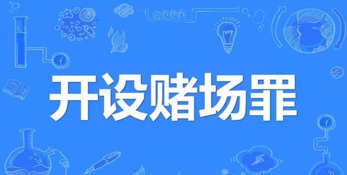 开设赌场罪怎么样辩护辩护词怎么写,开设赌场辩护词和质证意见图3