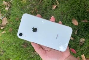 苹果手机iphone xr港版三网通用吗？,怎么查苹果xr是不是三网通的图1